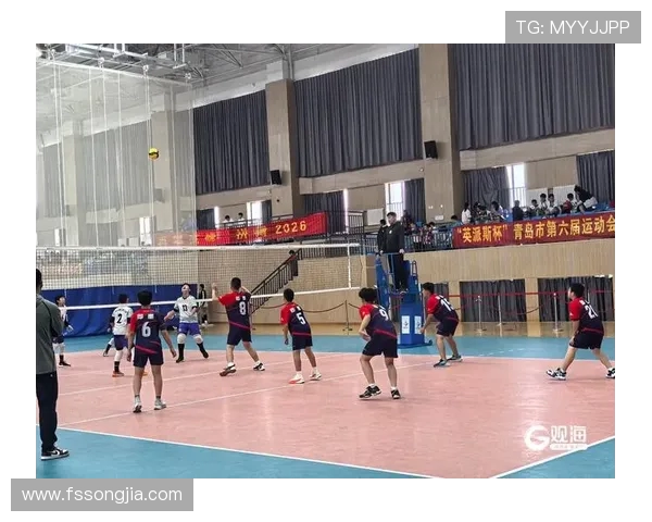 成都排球队最新排球比赛经验TOP10分享助力球队全面提升竞技水平